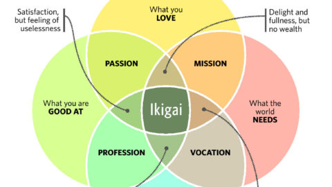 Finding your ikigai!