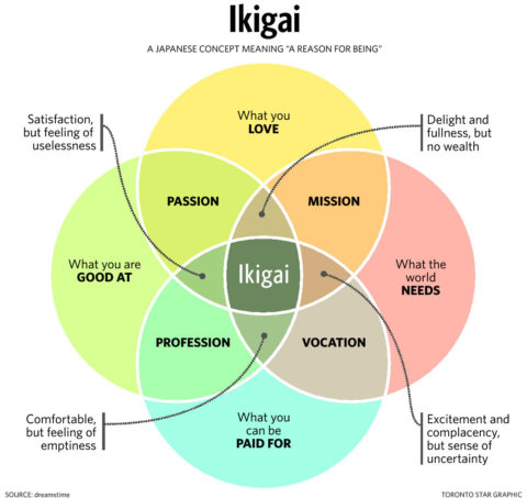 Finding your ikigai!
